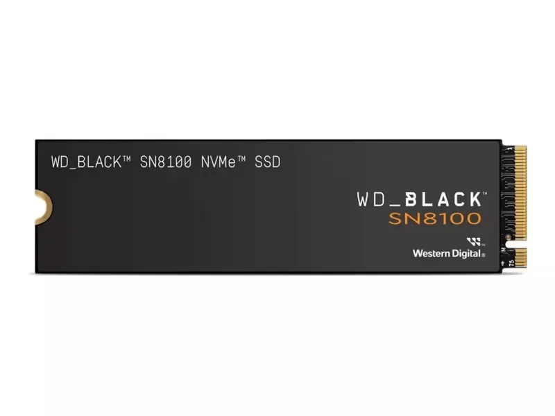 SanDisk 4TB Black SN8100