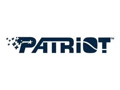 Patriot 512GB P210