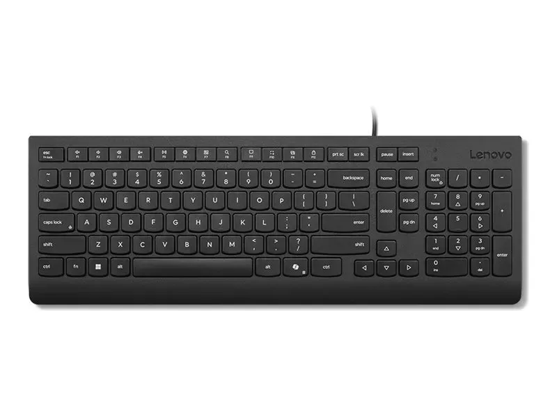 Lenovo 4Y41R64633 Home/Office USB US English Black