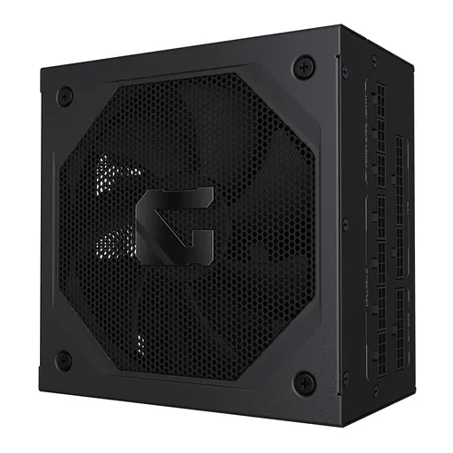 Gigabyte GAMING 1000GM PG5 1000 W 20+4 pin ATX Black