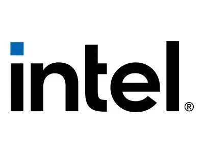 Intel Processor 300