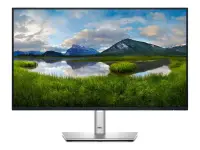 Dell Pro Plus P2425HE 23.8" FHD IPS 100Hz