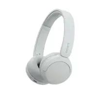 Sony 146769 WHCH520 (White)